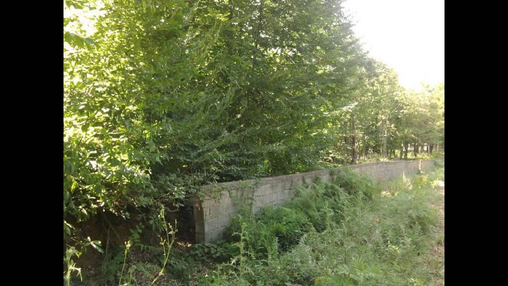 Zonguldak - kirencik köyü