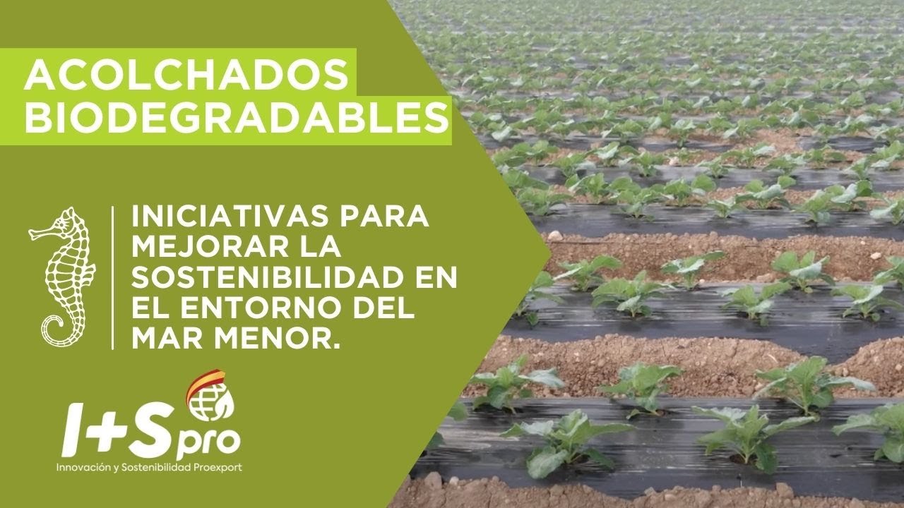 I+S Pro | Reducción de plásticos agrícolas (Acolchados biodegradables)