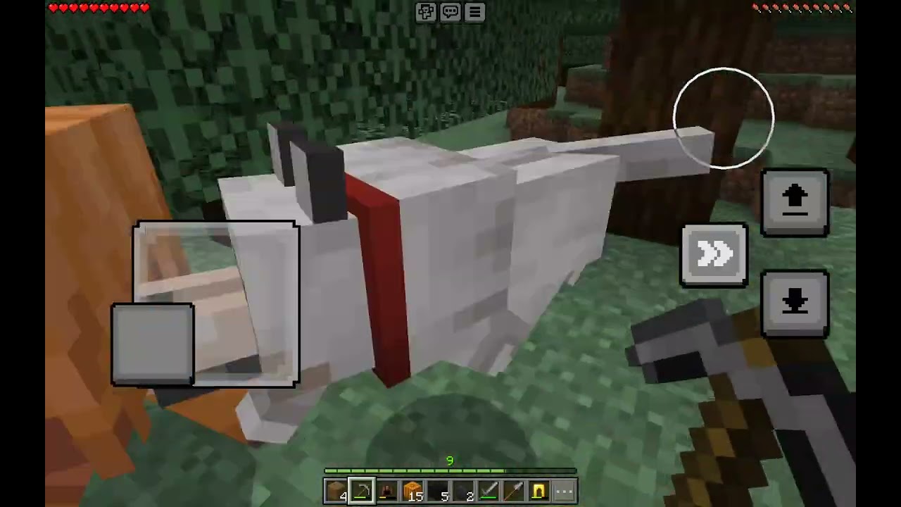 Going on adventures with my dog army | Minecraft Survival Continues (Rip Doggy Dog 😭)