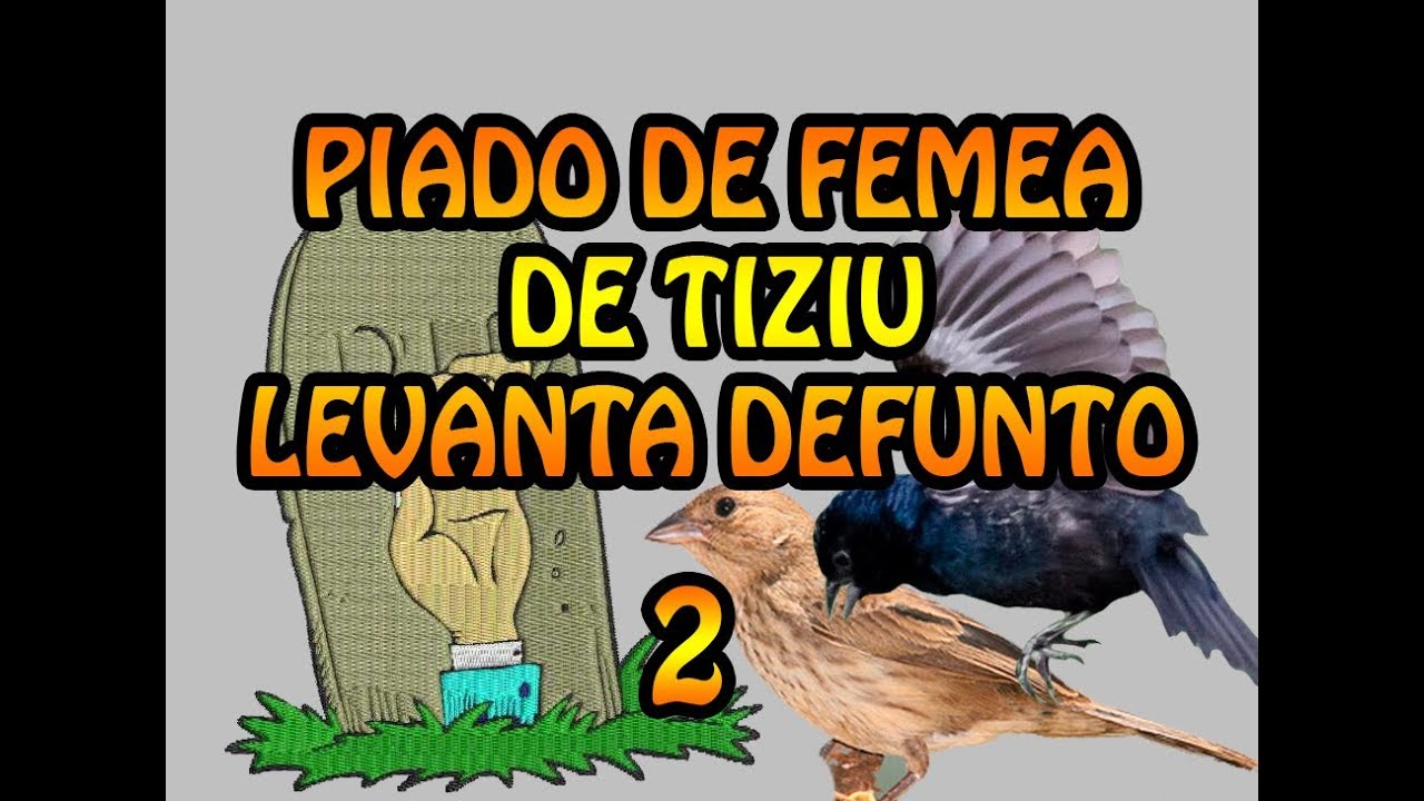 PIADOS DE FEMEA DE TIZIU LEVANTA DEFUNTO 2