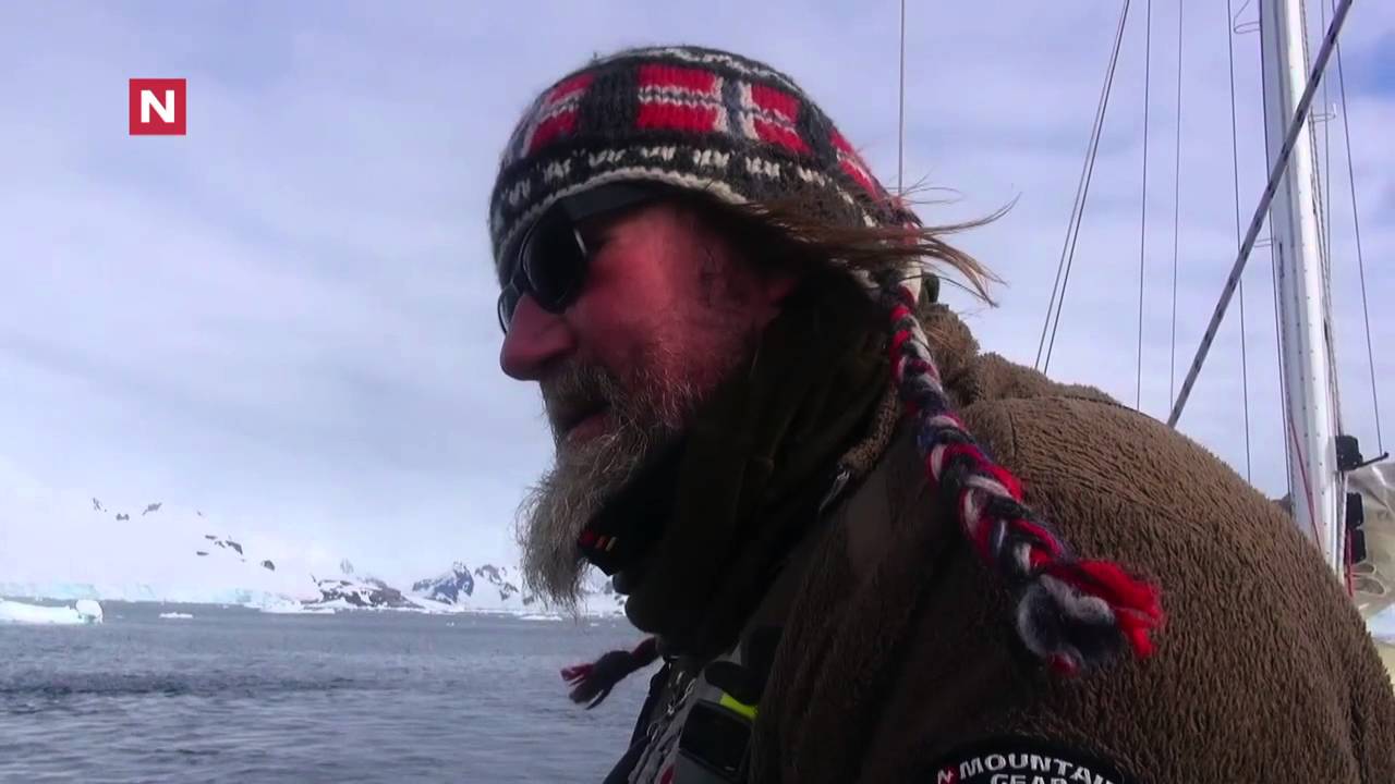Der er det hval, der er det pingvin, og her er jeg.