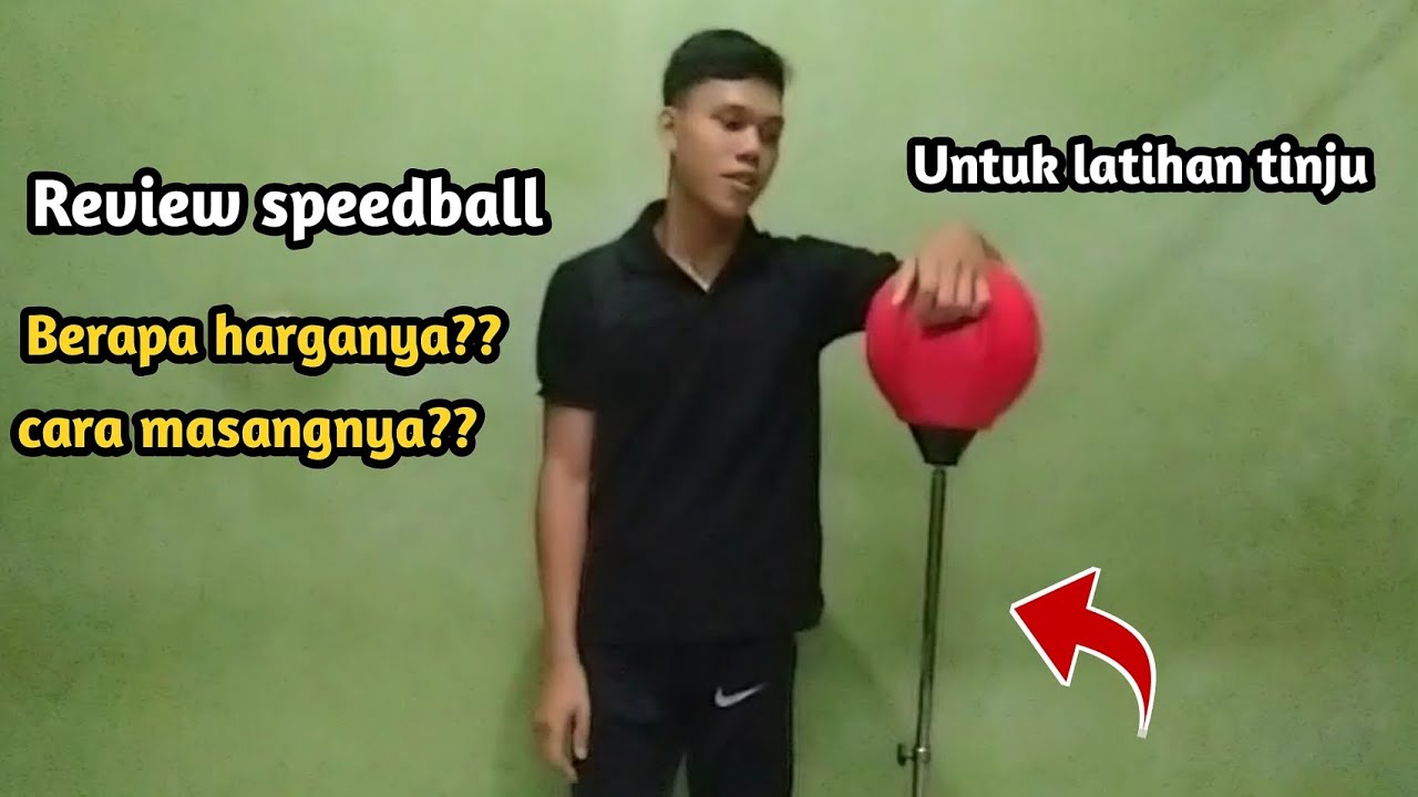 Review speedball untuk latihan boxing