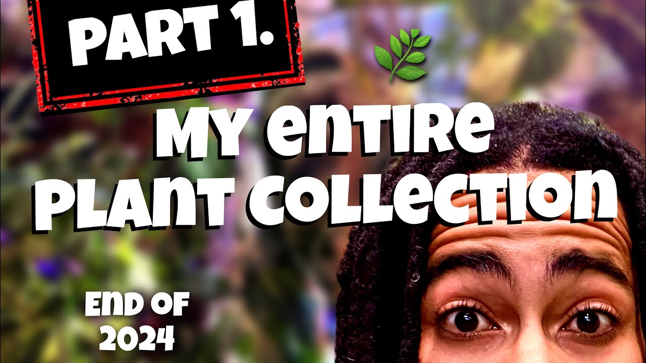 House Plant Tour end of 2024. My Entire Plant Collection 280+ Plants! Part 1.