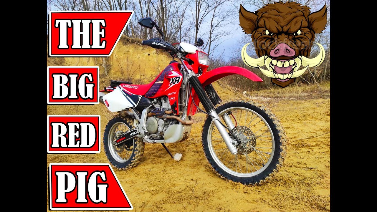 Jeli Motors: Honda XR 650R. A diszn&oacute; teszt!❗🐷