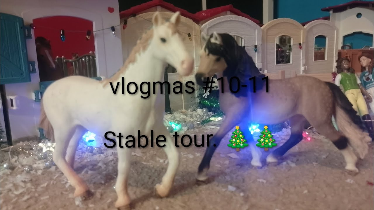 Vlogmas #10-11 🎄⭐Stable tour 🌙🌙🎄