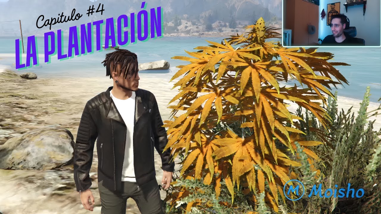 Capitulo #4 La Plantación | La aventura de Moisho en Infames RP | GTA RolePlay