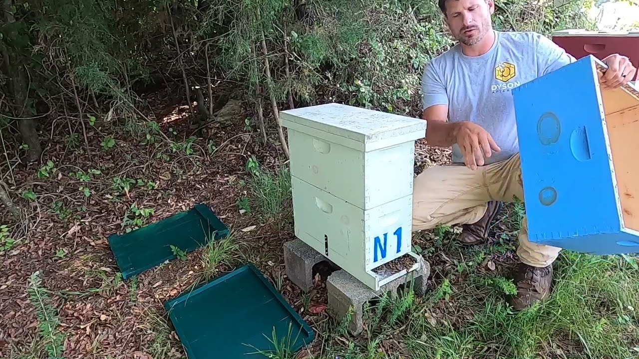 Growing Nucs Two Story Style