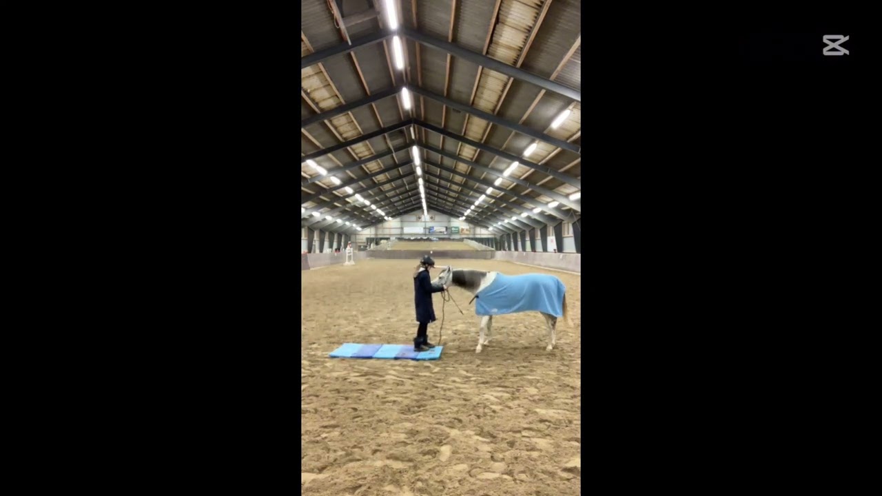 Jordarbejde med Bibi (indluks vagt-VLOG￼￼