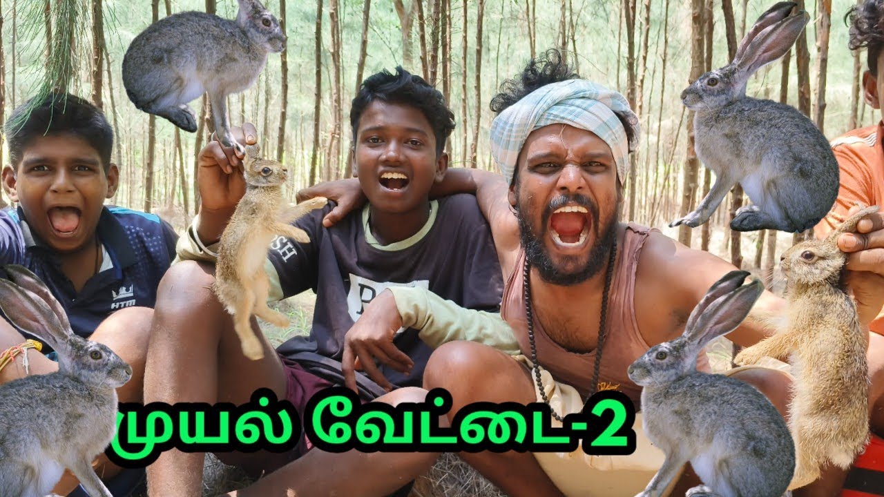 முயல் வேட்டை-2 #rabbithunting #muyalkutty