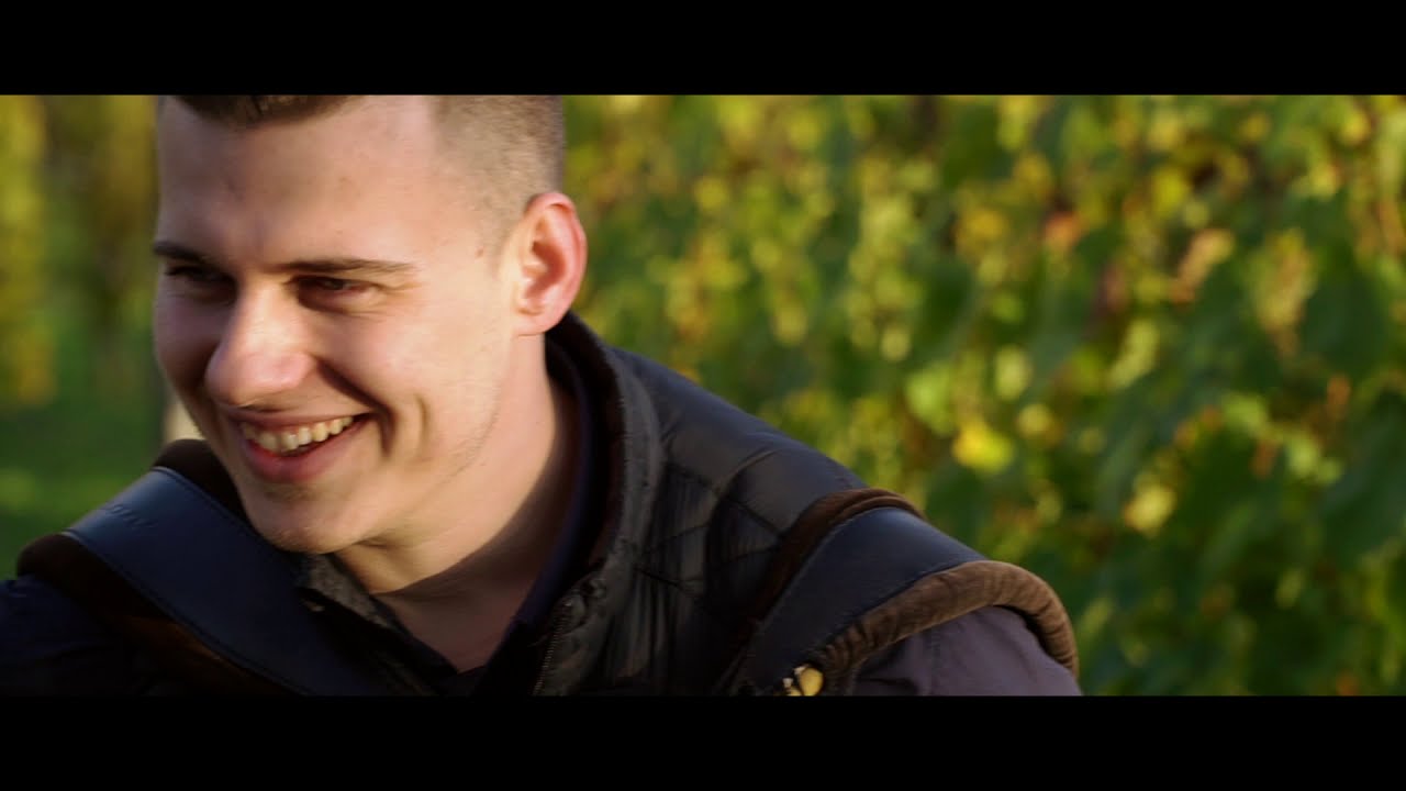 ŽUTE DUNJE - Med i slatko grožđe - Cover