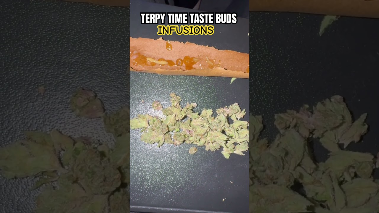 TERPY TIME TASTE BUDS - INFUSIONS @710labs6 @Punchedibles ​⁠ #bayarea