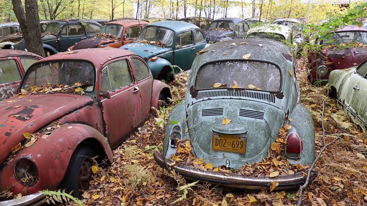 The Volkswagen Graveyard