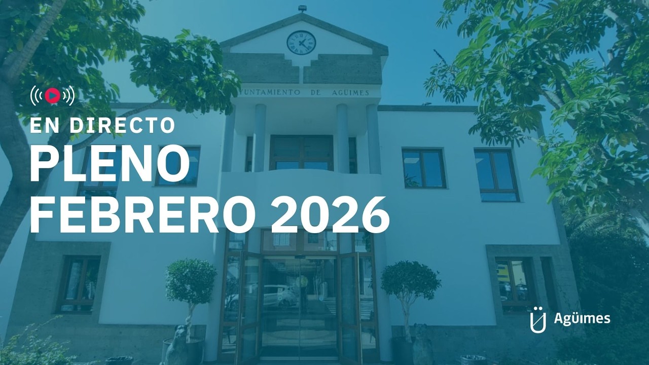 Pleno febrero 2026