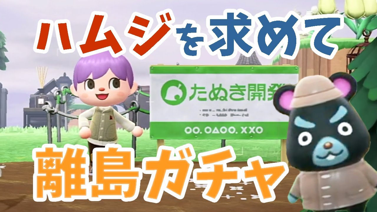 【 あつ森 】ハムジを求めて離島ガチャ！あつまれどうぶつの森