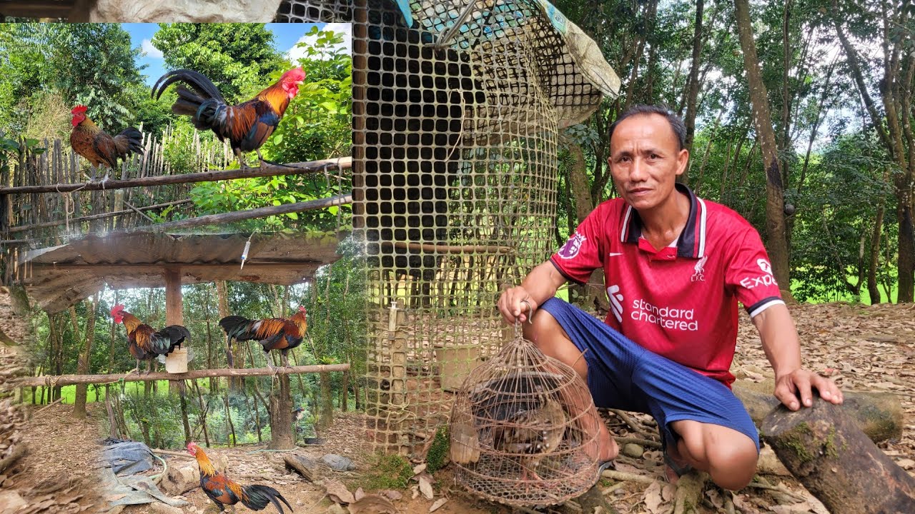Muag qaib dib muag yij quaj 55106894. 0305281115. 20.8.2025