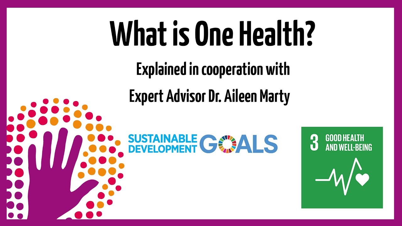 What is One Health?