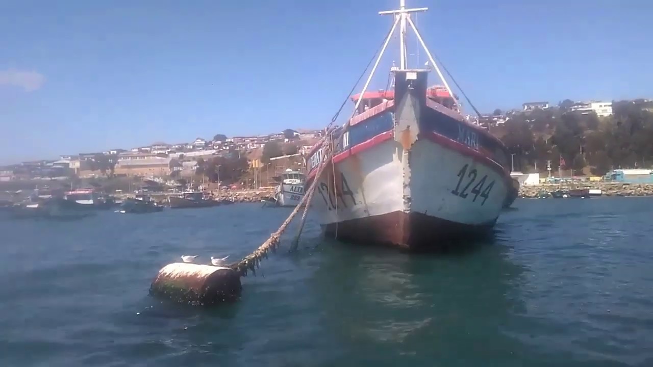 Puerto de San Antonio yo te quiero-Los4 de Chile