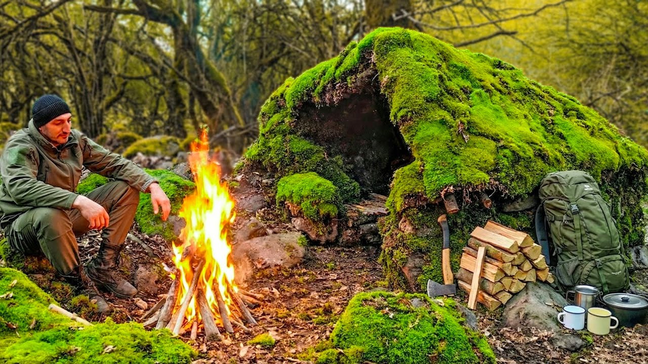The Silence of the Wild: SOLO BUSHCRAFT Overnighter & Natural Shelter Build 🌲🔥
