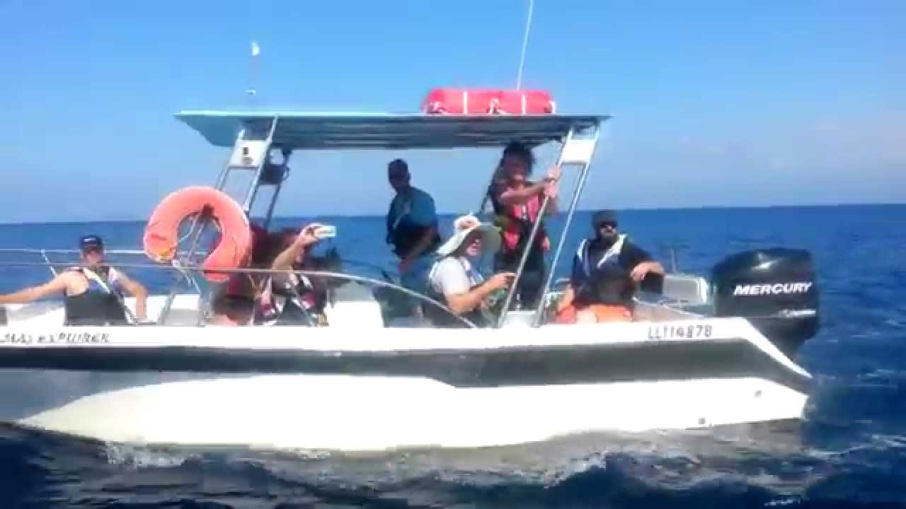 Horkýže Slíže & Barebone - Cyprus 2014