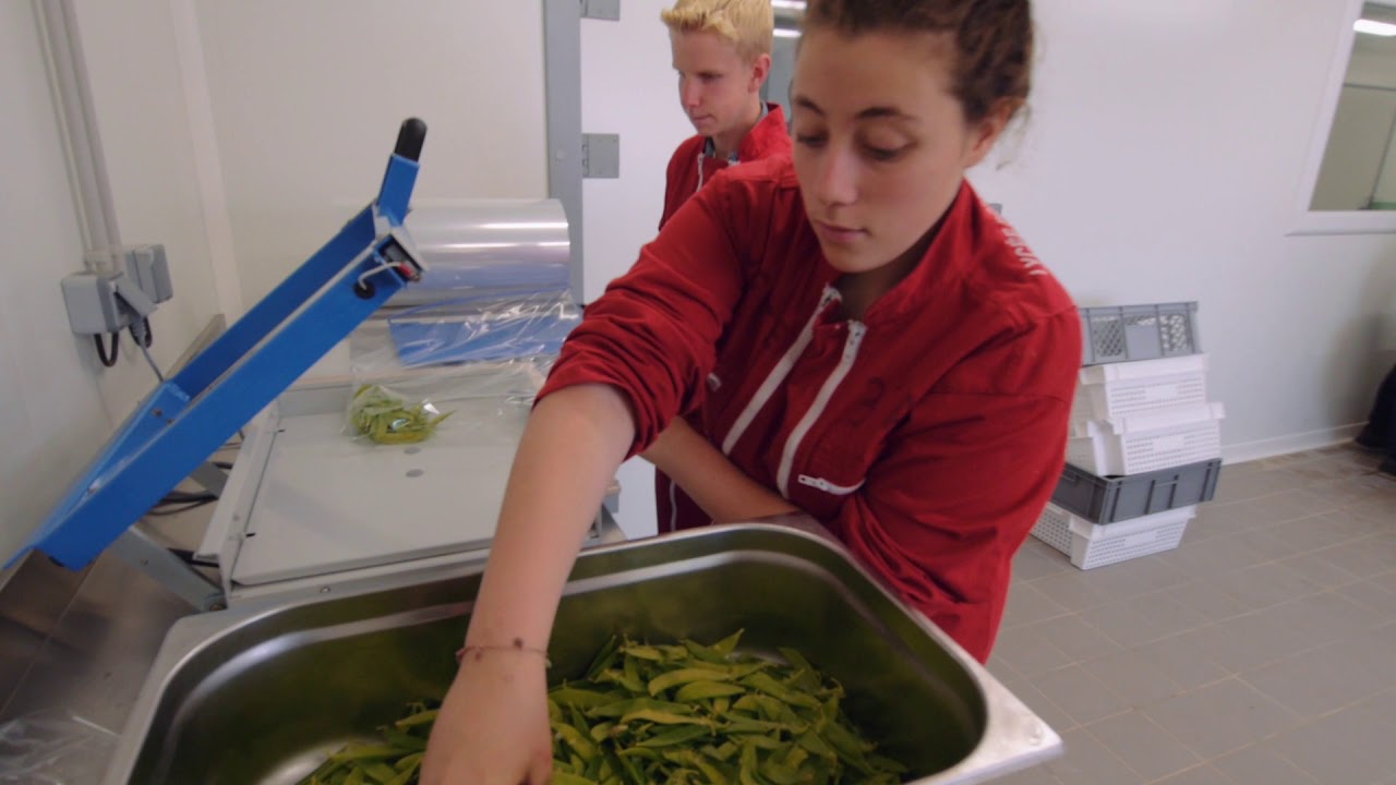 L'apprentissage au Lycée Privé Provence verte / Lycée Agricole de St Maximin