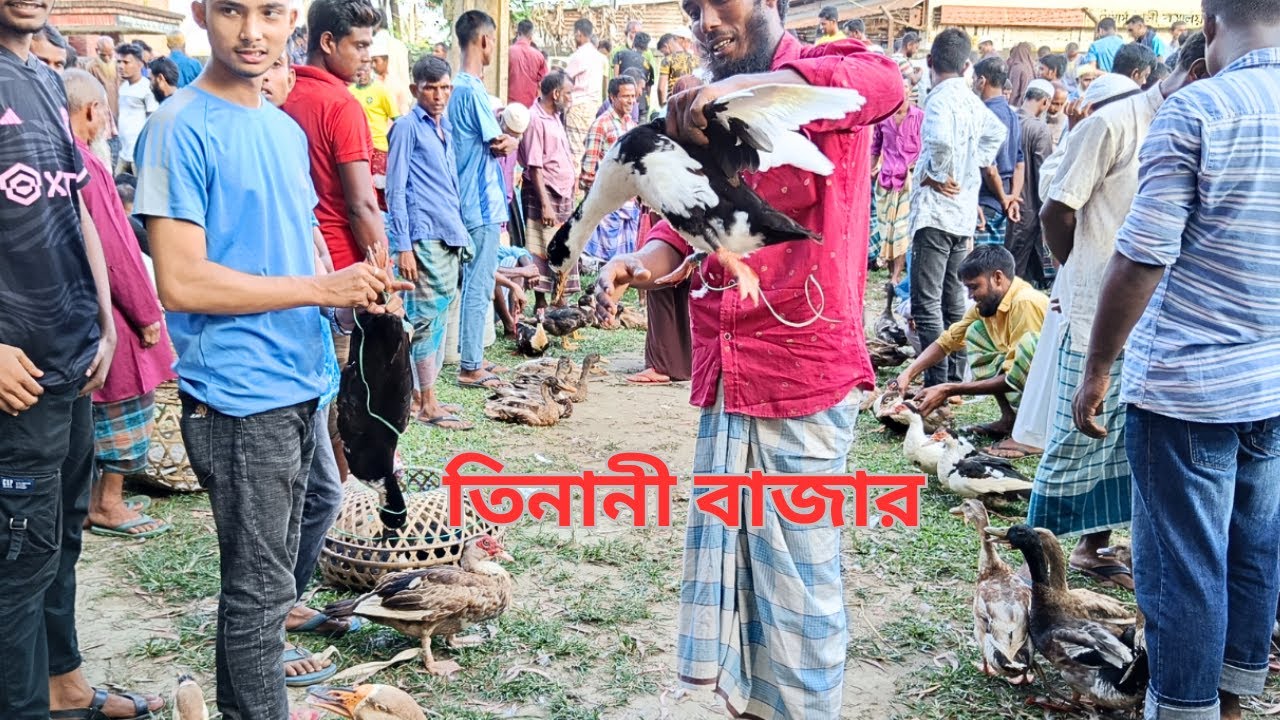 দেশি মুরগি চীনাহাঁস রাজহাঁস পাতিহাঁস সবকিছুর অদ্ভুত সমন্বয় ঘটে এই হাটে ২০২৩