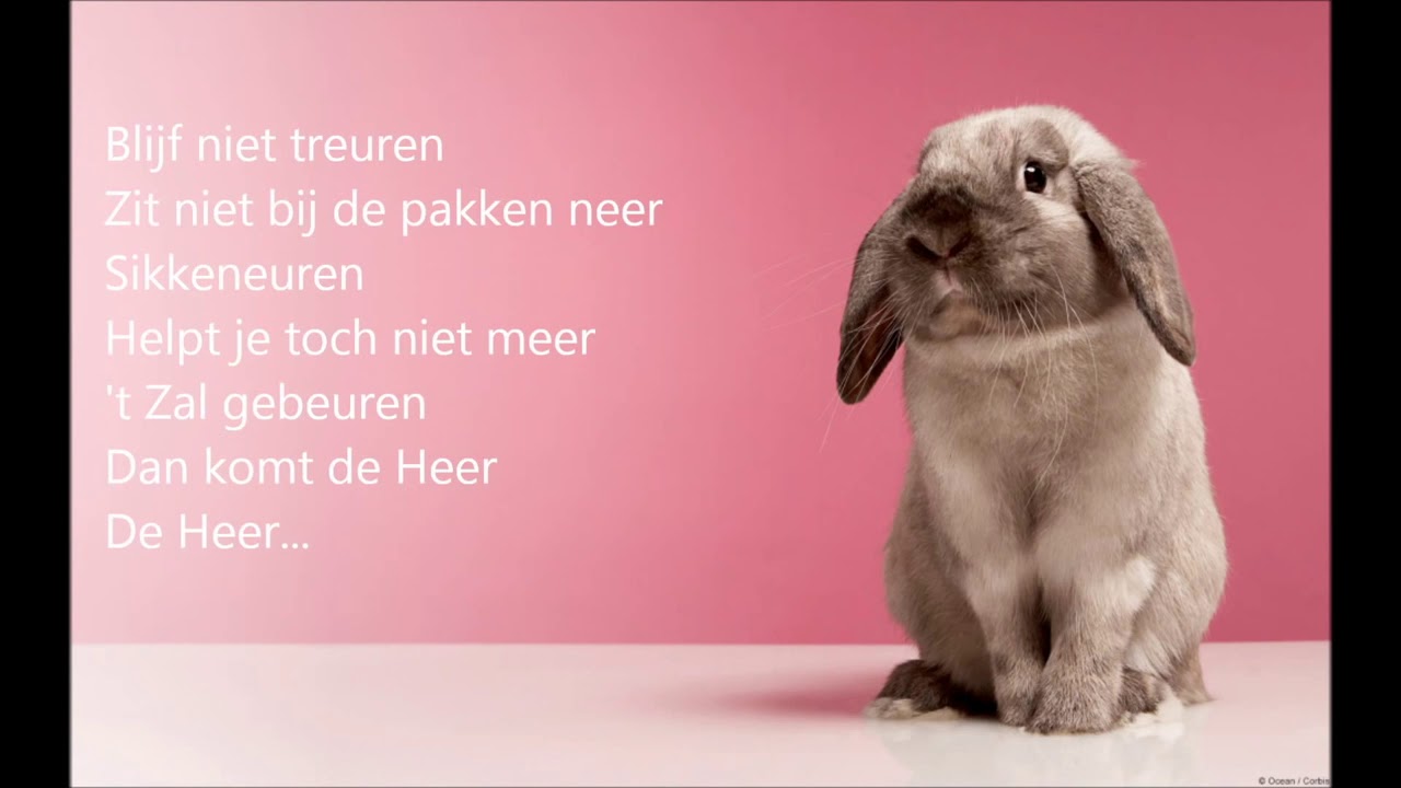 We zullen opstaan - Elly & Rikkert