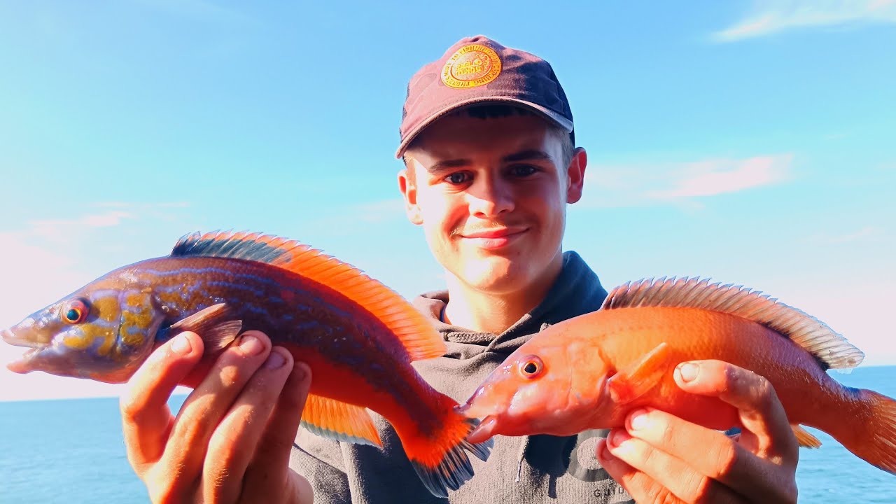 Охота на виды с моим мальчиком 🎣 