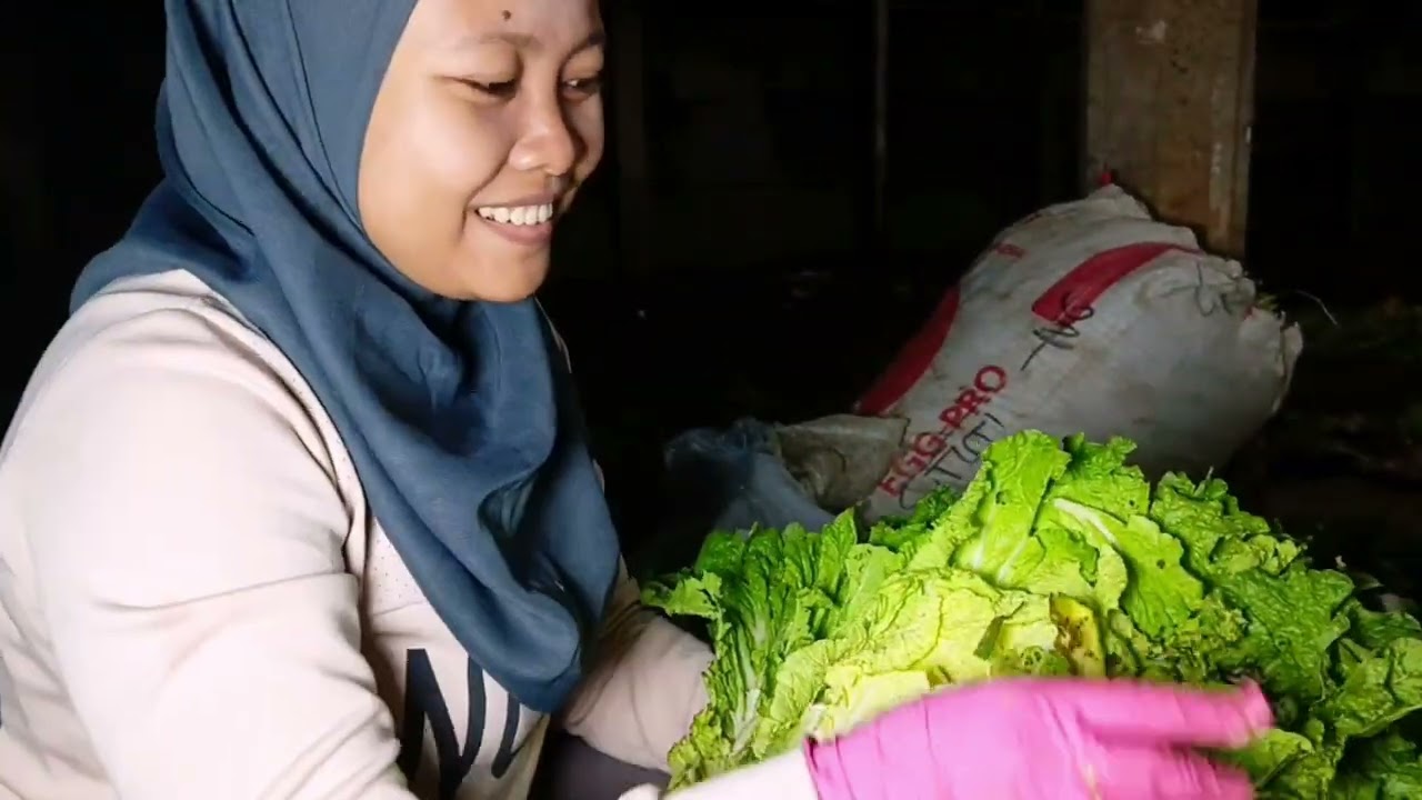 Mulung kali ini tidak tau sayur apa yang lebih banyak d buang, pokoknya Alhamdulillah banget