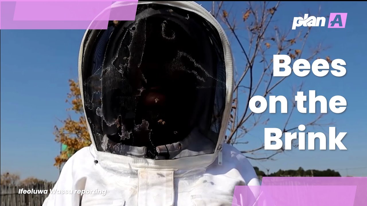 Bees on the Brink: Inspiring Champion Takes Action