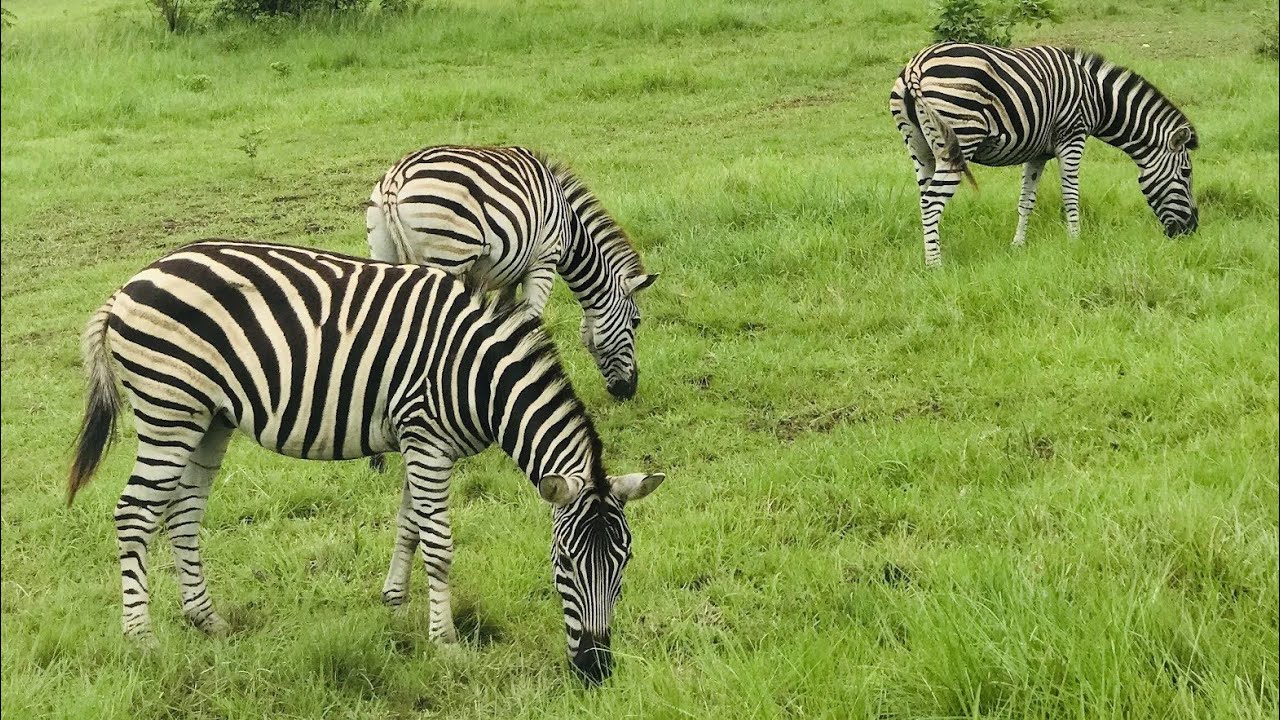 Shai Hills Resource Reserve, Accra, Ghana ৷৷ Part-1.