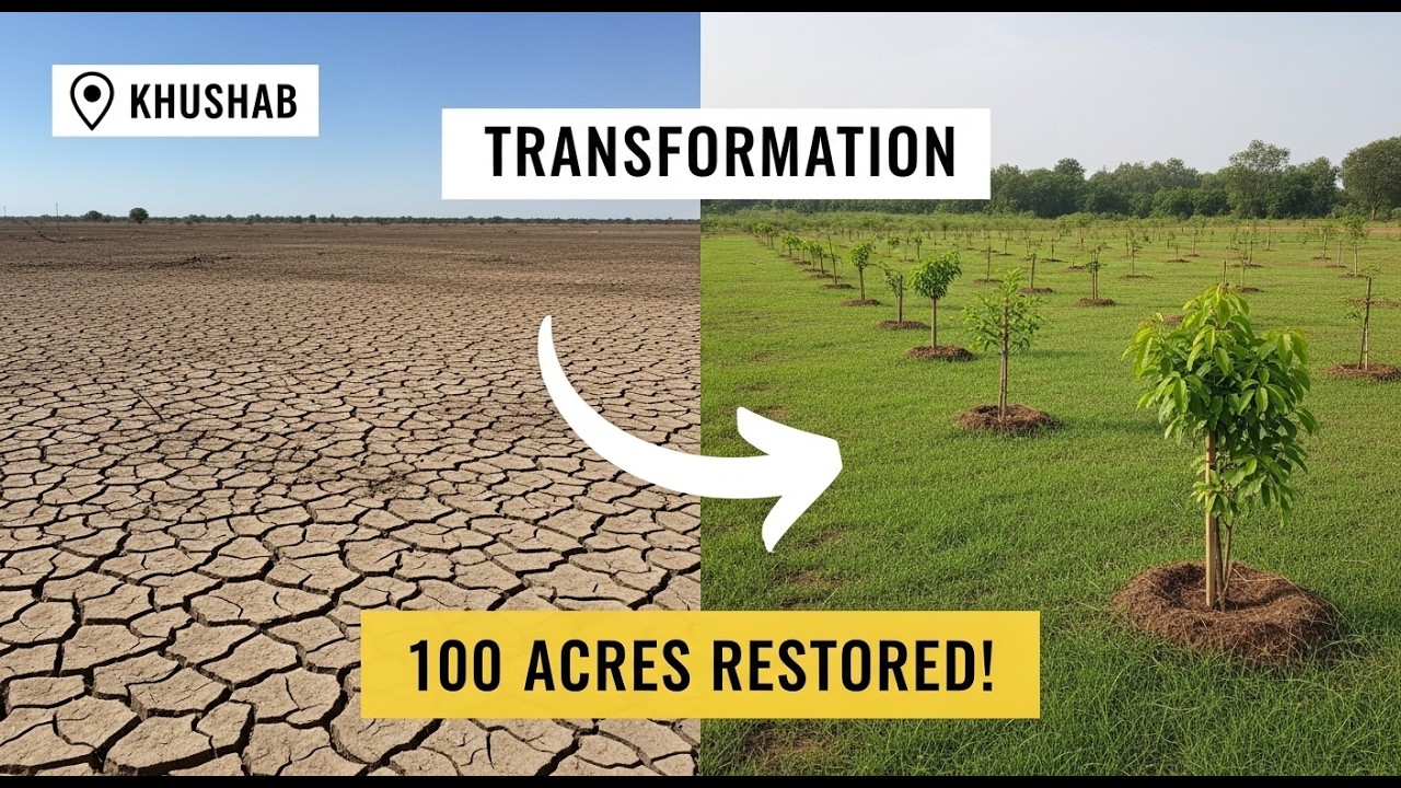 Assisted Natural Regeneration Technique | Khushab Forests Restored