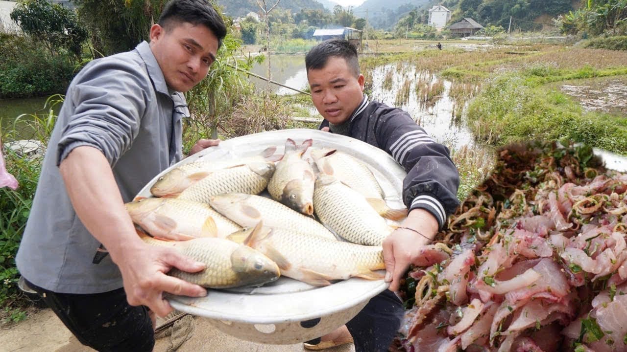 Tháo ruộng thả cá sau ba tháng, món gỏi cá chép quá ngon | Nhịp Sống Tây Bắc