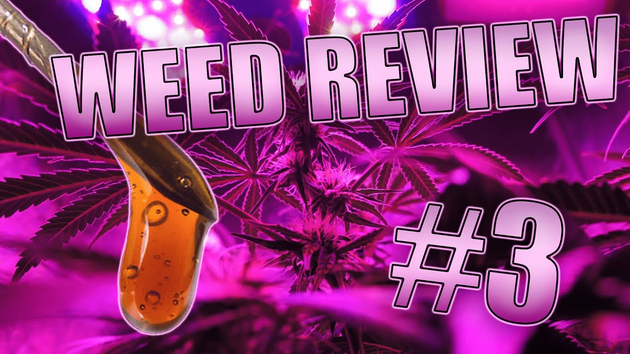 Weed Review #3 Lemonchello Cartridge & Pacific Stone Orange Cookies