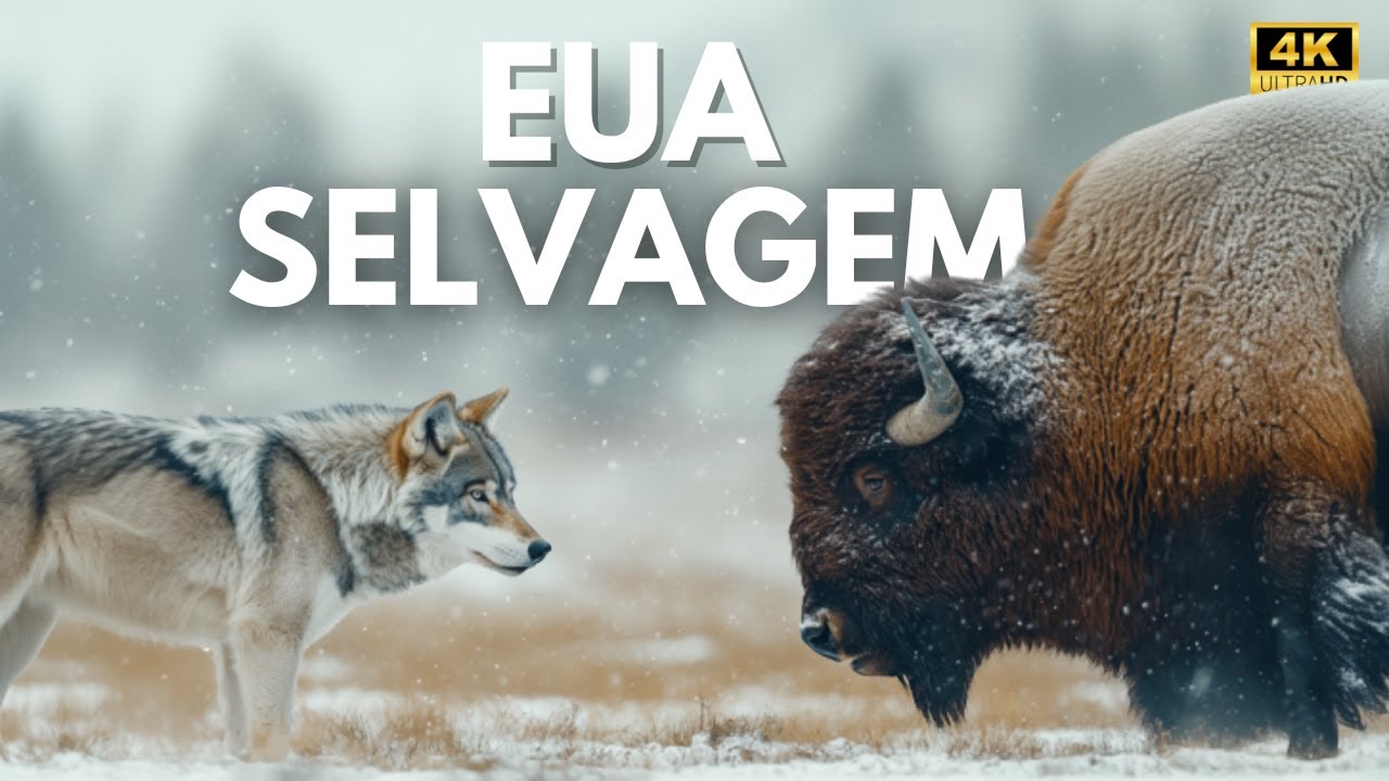 EUA SELVAGEM - A Vida Secreta dos Predadores Americanos | Document&aacute;rio Animal
