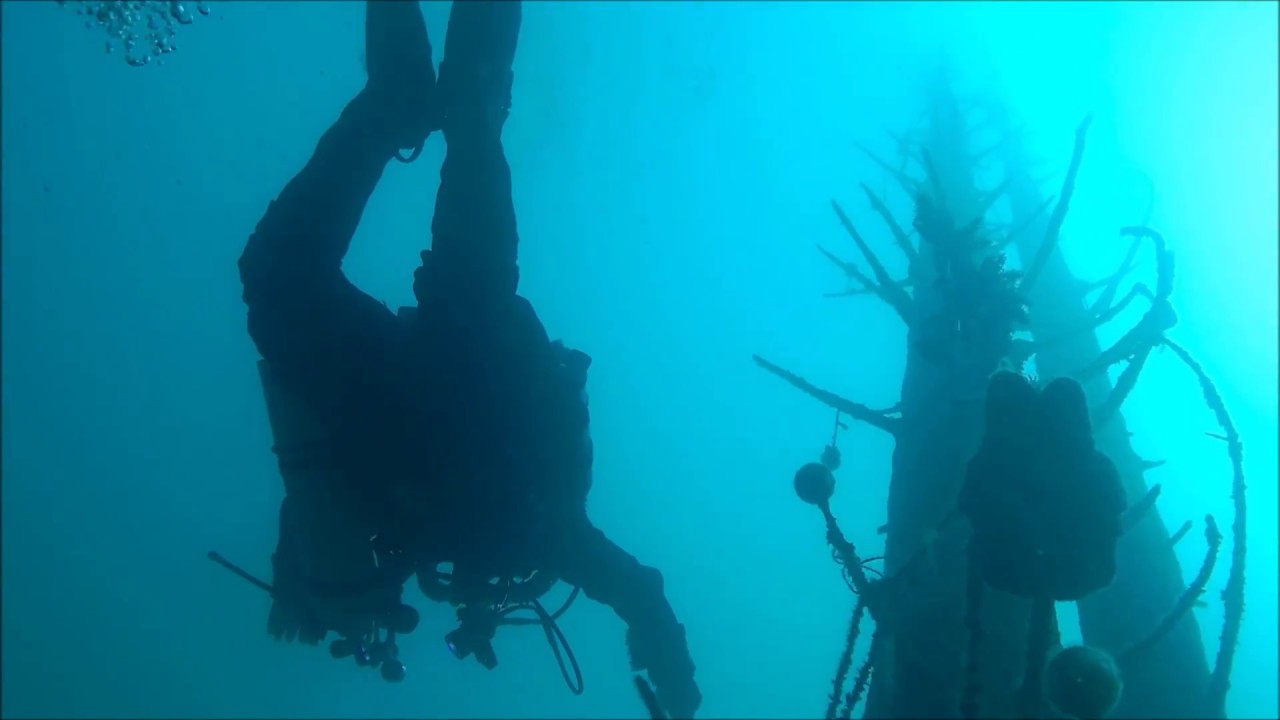 Tauchen - Attersee TP- Twin Towers, ..ein wunderschönes Taucherlebnis 01.04.2017