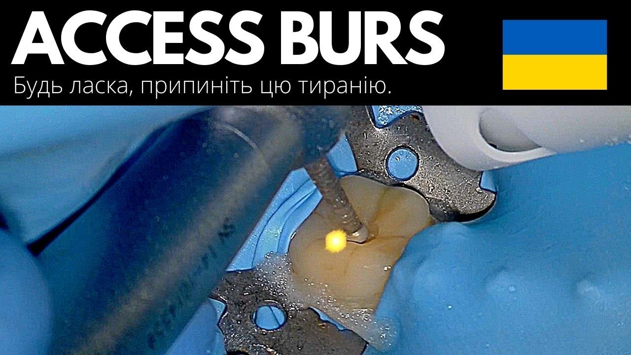 {New} Access Burs - Affordable and WorldWide Availability
