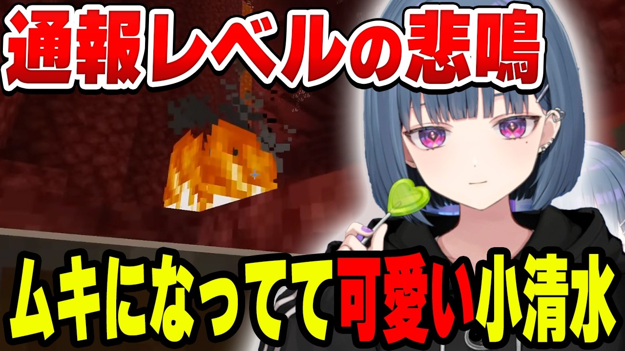 絶妙にイライラしてムキになる姿が可愛い小清水透【小清水 透/にじさんじ/切り抜き】