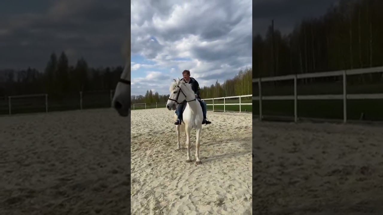 This is my husband and he's on a horse