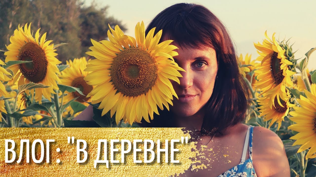 Влог: 
