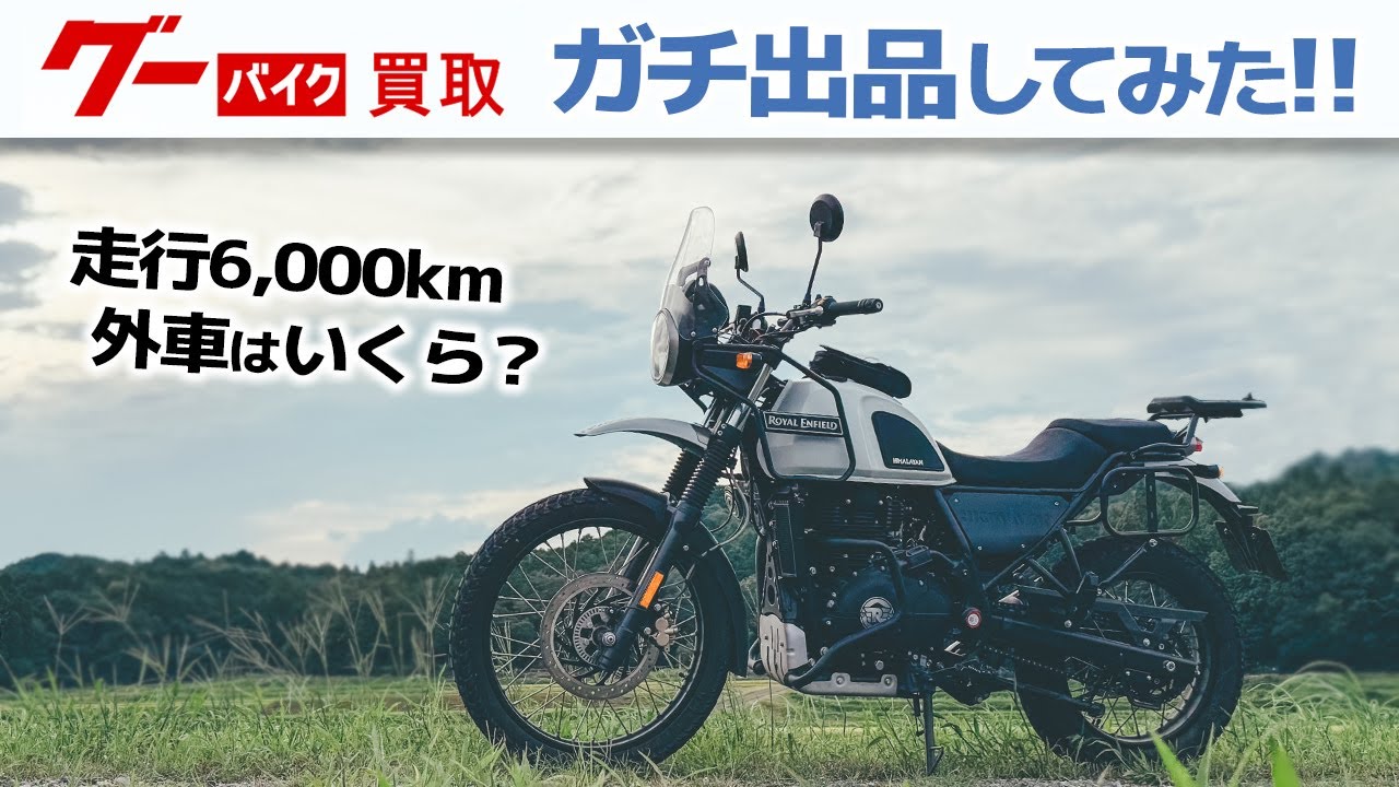 【グーバイク買取】ガチ出品してみた！空冷ヒマラヤンはいくらで売れる？ #バイク #モトブログ #オートバイ
