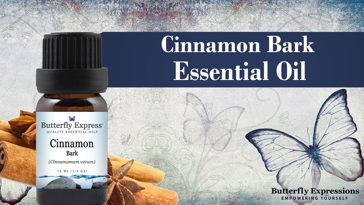 Cinnamon Bark Essential Oil