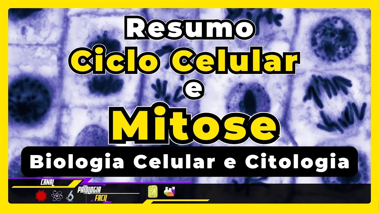 Ciclo Celular e Mitose - Resumo - Ensino Superior |Citologia  e Biologia Celular|