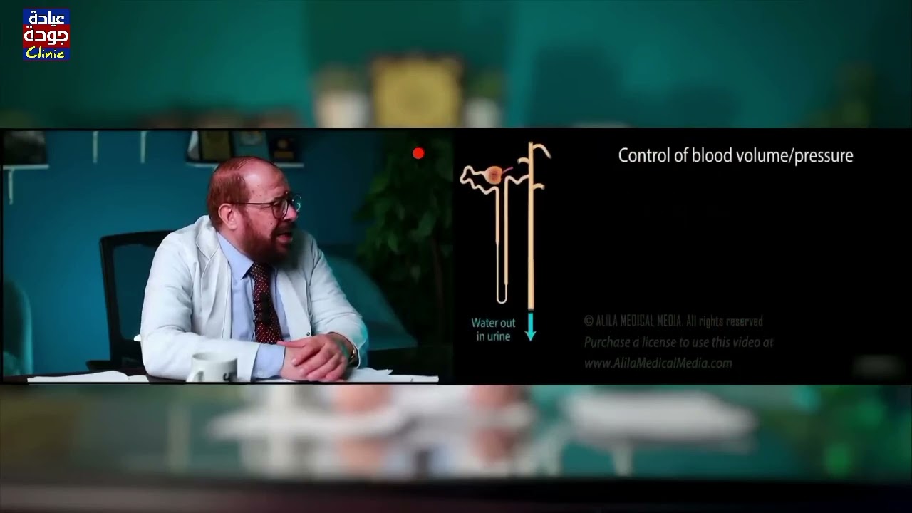 وظائف وفوائد الكلى  -  دكتور جودة محمد عواد