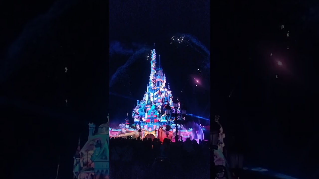 Yall at Disneyland