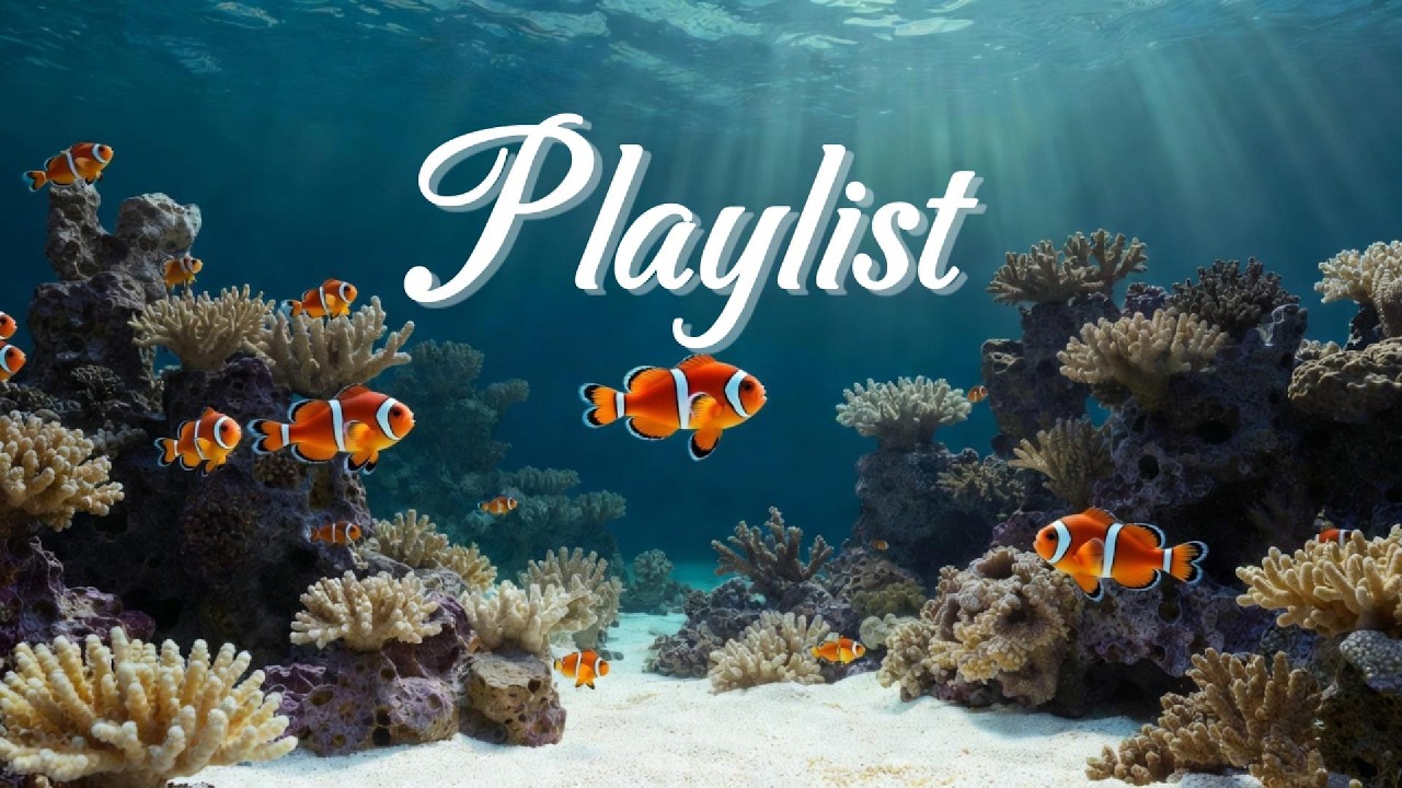 [playlist] Спокойный свет моря и движущиеся рыбки: плейлист для фона