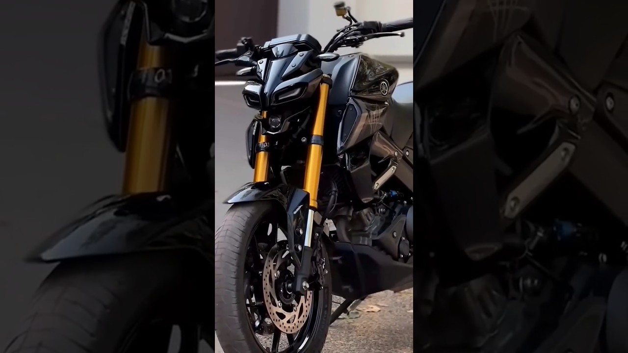 Yamaha MT-15 v3 monster 