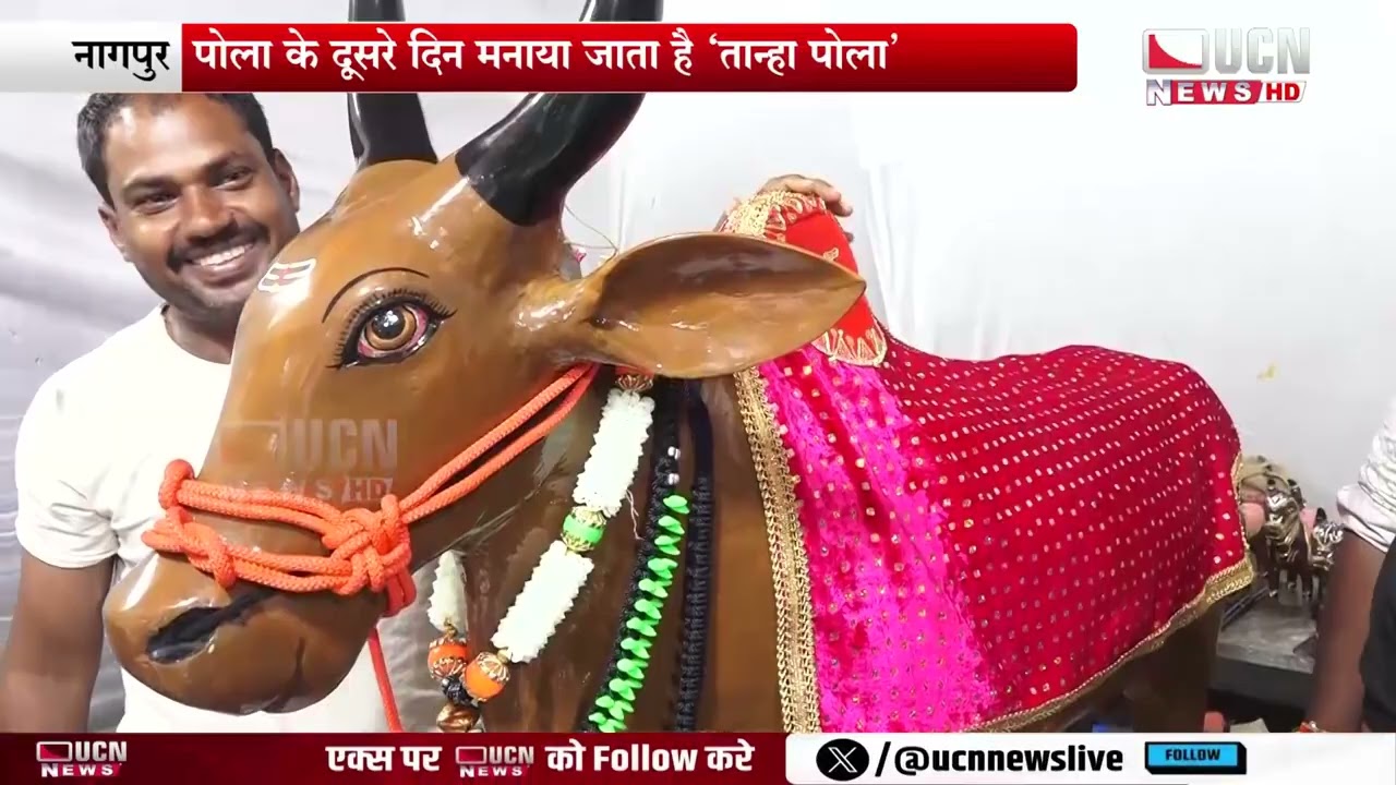 नागपुर - आकर्षण का केंद्र बना ढ़ाई लाख का नंदी बैल