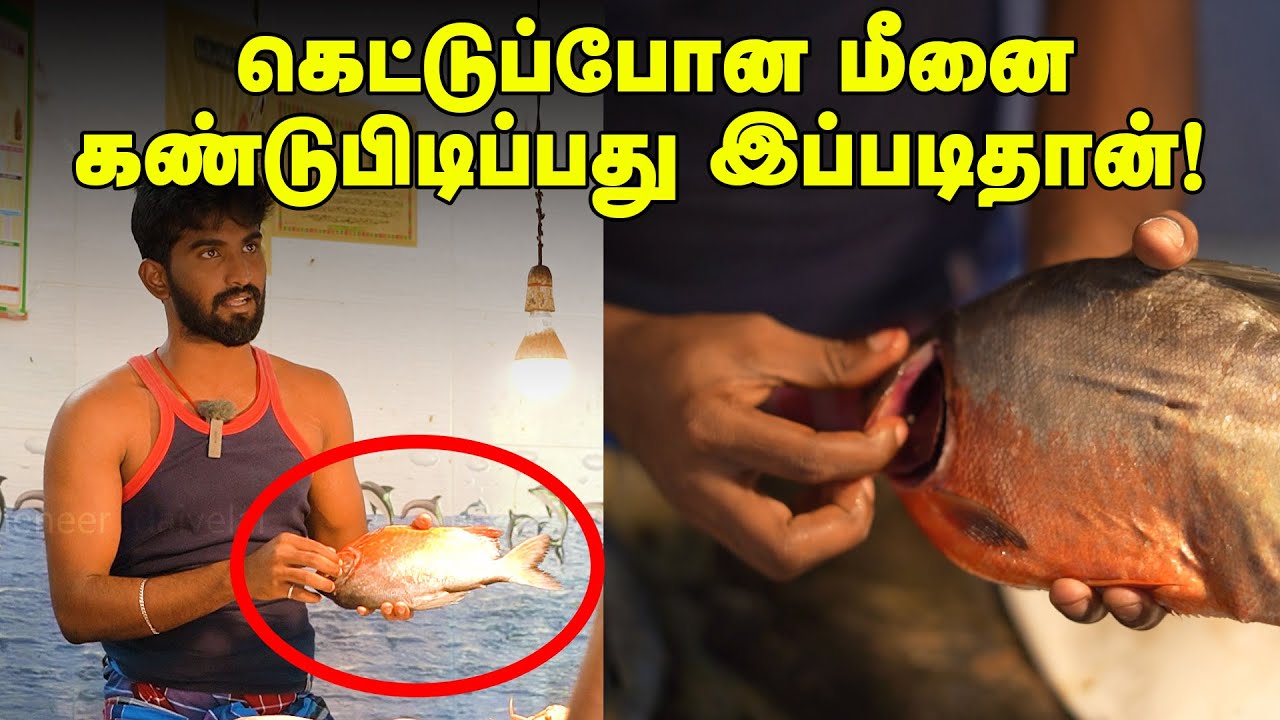 Good fish : நல்ல மீன் வாங்குவது எப்படி | fresh fish in Tamil | Fish buying in Tamil |Fish shop trick