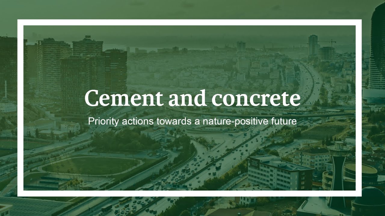 How the Construction Materials sector can contribute towards a nature-positive future