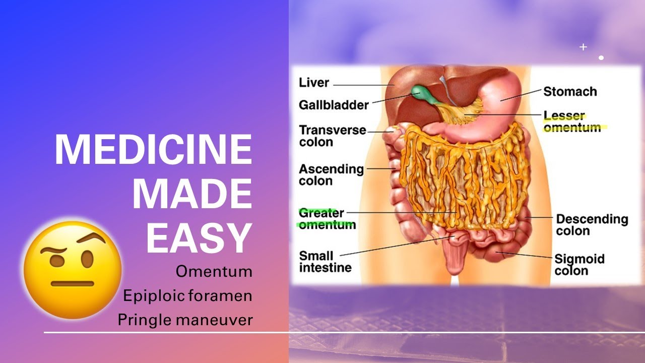 Omentum, Omental foramen, Pringle Maneuver - fast and easy - MEDICINE MADE EASY